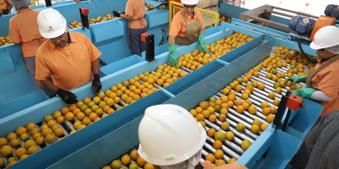 exportacao-de-produtos-atingidos-por-tarifaco-cai-22%-em-agosto