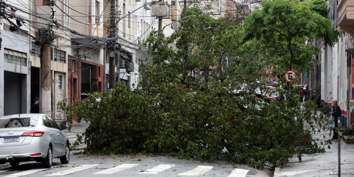 prefeitura-fecha-todos-os-parques-de-sao-paulo-por-causa-dos-ventos
