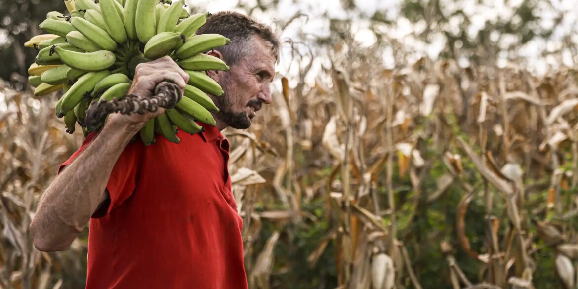 camara-aprova-uso-de-recursos-do-fgo-em-operacoes-do-pronaf