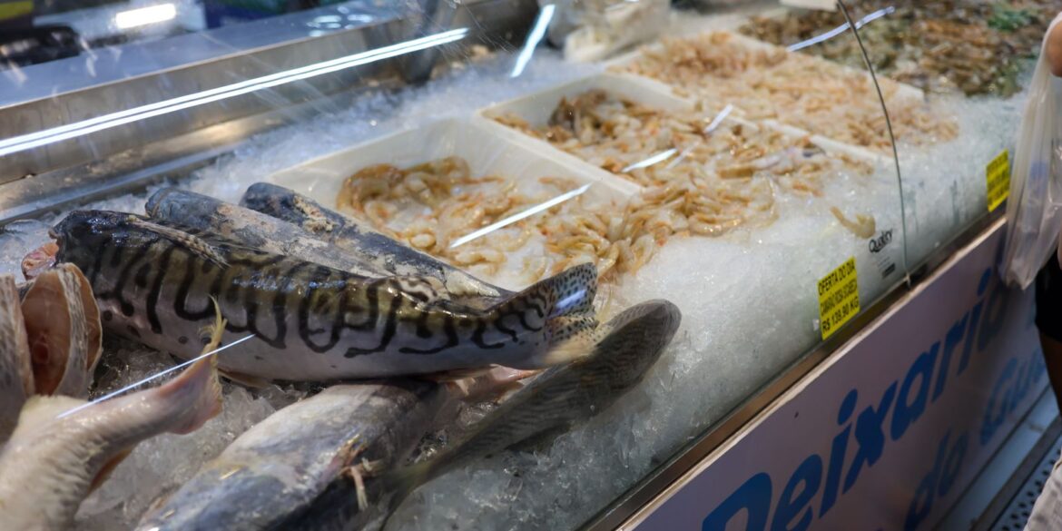 vigilancia-sanitaria-orienta-sobre-compra-de-pescado-na-semana-santa