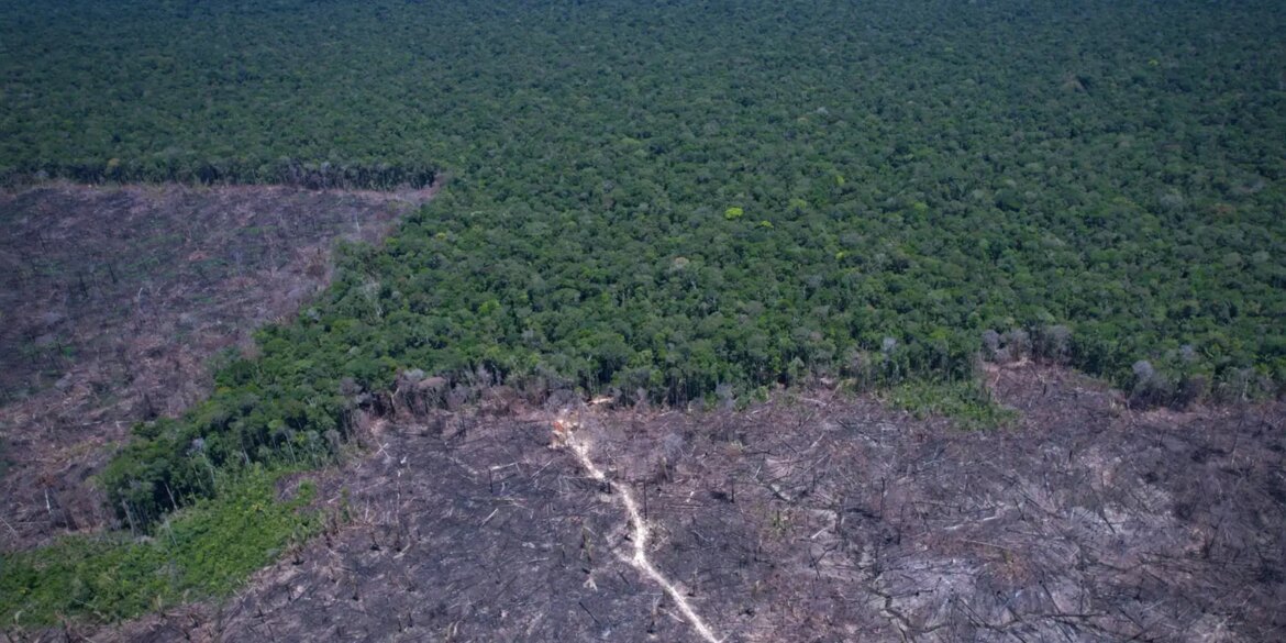 paises-discutem-solucao-para-combustivel-fossil-e-desmatamento-ilegal