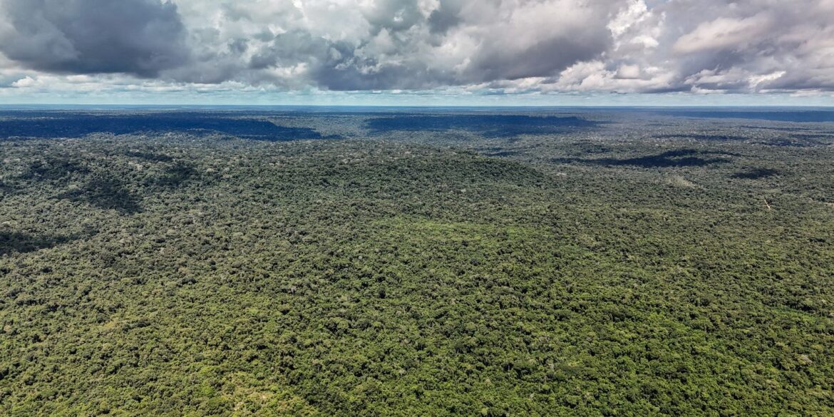 adversaria-em-campo,-noruega-e-parceria-de-acoes-ambientais-do-brasil